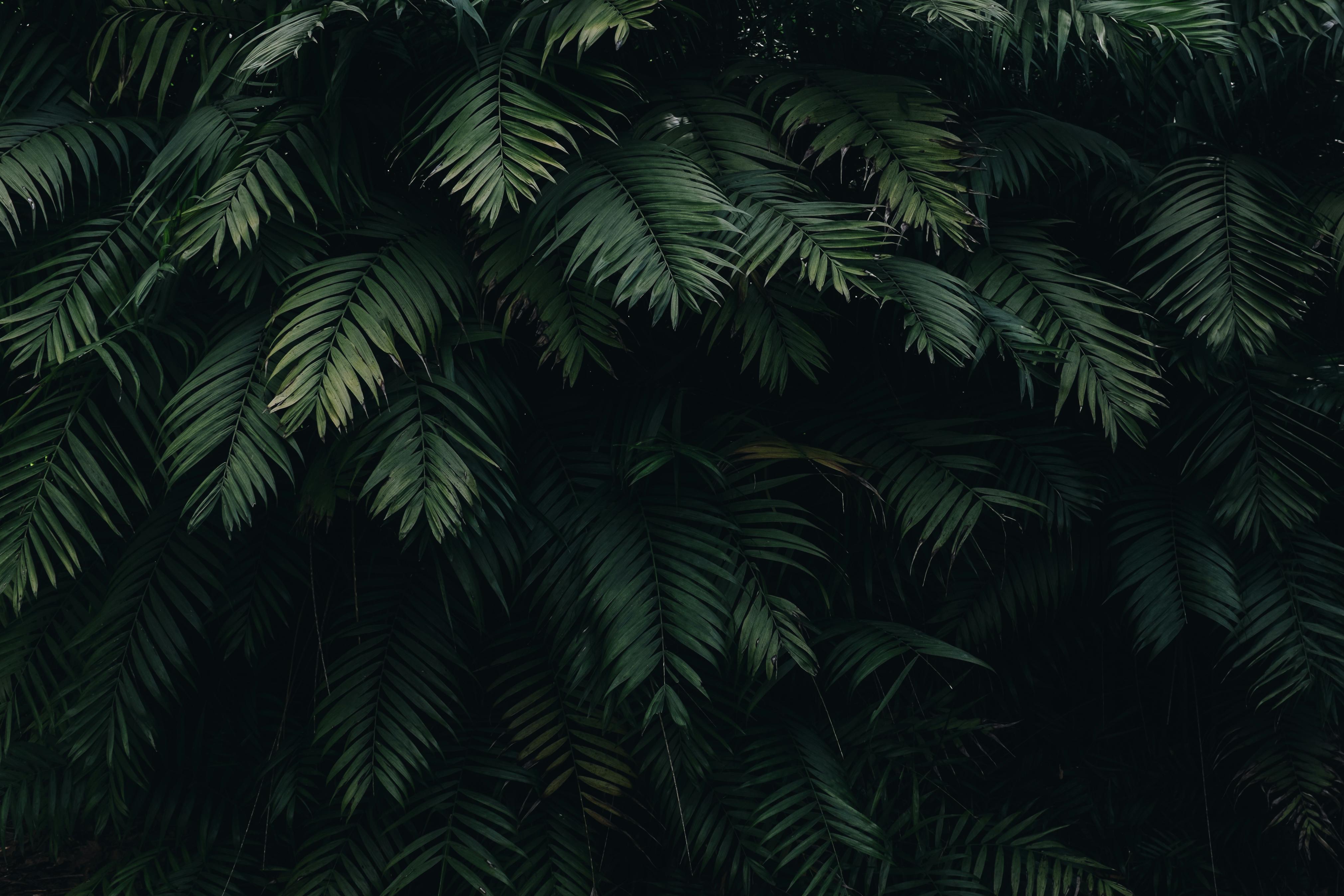 V2 New topic with image